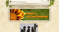Desktop Screenshot of figforestdachshunds.com