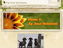 Tablet Screenshot of figforestdachshunds.com